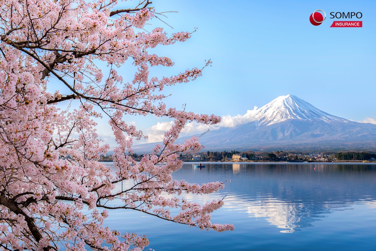 ประกันเดินทาง GoJapan By TravelJoy ไปประเทศญี่ปุ่น เช็คเบี้ยประกันและซื้อออนไลน์ได้